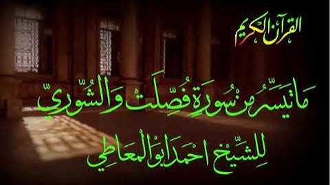 الشيخ احمد ابوالمعاطى سورة فصلت والشورى