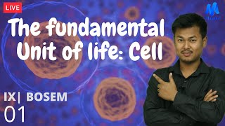 Fundamental unit of life: Cell || Class IX science || Maheikol