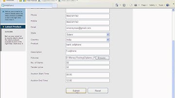 Online Auction System