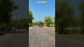 Fozia Soomro Jalal Chandio Sindhi Song