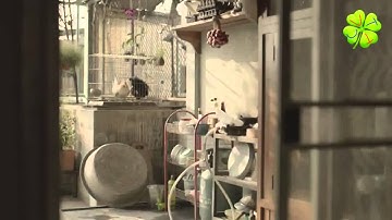 giá trị của con người