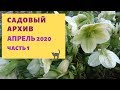 Обзор сада . Мой сад Апрель 2020 Садовый архив  (Часть 1)