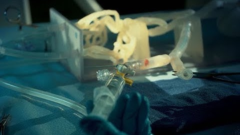 Simulating Reality With the J750 Digital Anatomy 3D Printer