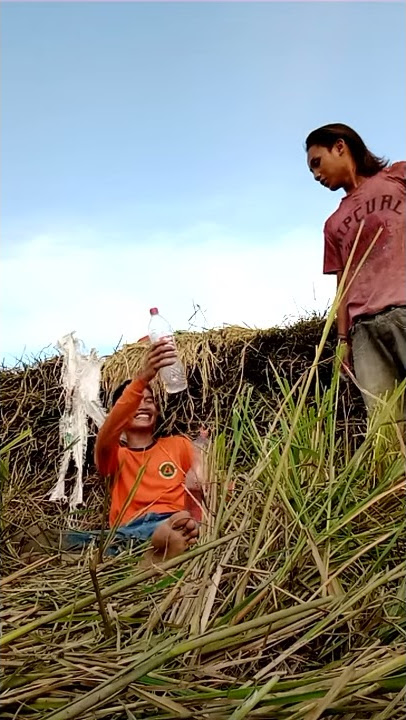 Video lucu Bugis (bone selatan) - elo'ka minung