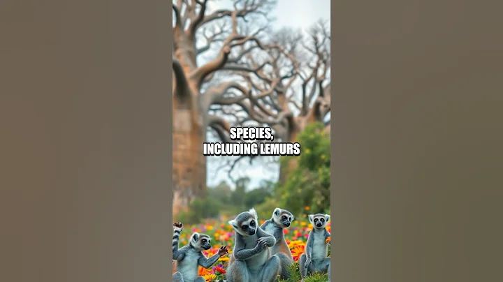 Exploring the Enchanted Landscapes of Madagascar