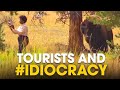 Tourists and idiocracy
