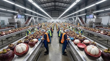 “Inside a Modern Mangosteen Factory From Premium Orchard Harvest to Candy & Juice Production Full Pr