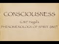 CONSCIOUSNESS - Hegel's Phenomenology of Spirit