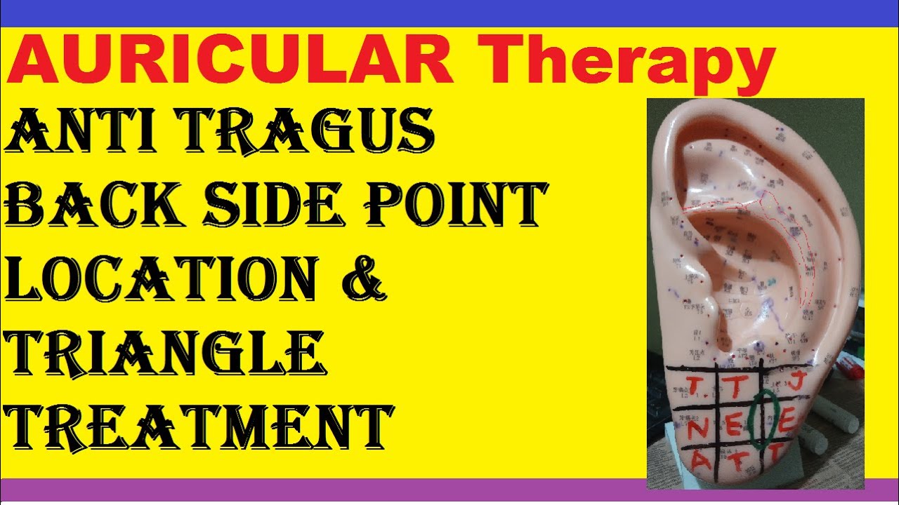 Free Auricular Training / Anti Tragus Inner side Points Location ...