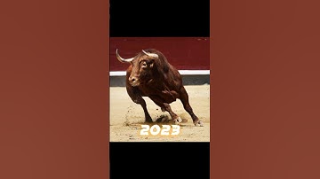 2023 Bull 🐂🐂 vs 5000 bce Bull 🐂🐂 #shorts #viral