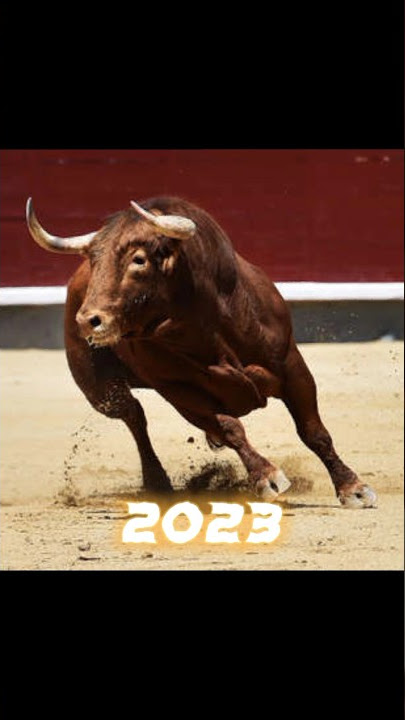 2023 Bull 🐂🐂 vs 5000 bce Bull 🐂🐂 #shorts #viral