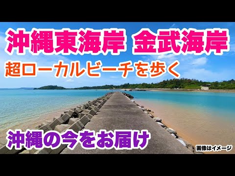 【沖縄の今をお届け】沖縄東海岸 超ローカルビーチ 金武海岸を歩く 「沖縄旅行情報」