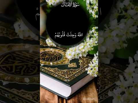 سورة الانفال الذين إذا ذكر الله وجلت قلوبهم للشيخ محمد صديق المنشاوي