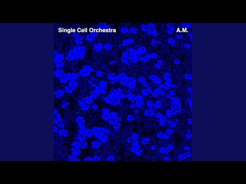 YouTubeでDouble Springを視聴 YouTubeでDouble Springを視聴