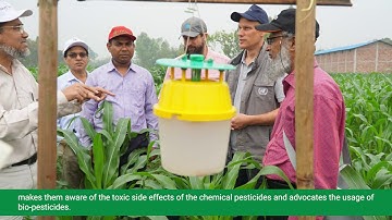 Biological control of Fall Armyworm (FAW) in Maize