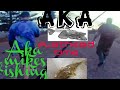 flathead fishing caught over 40