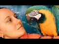 Поцелуи с попугаем 💋