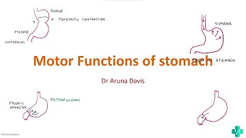 Motor Functions of stomach | PHYSIOLOGY