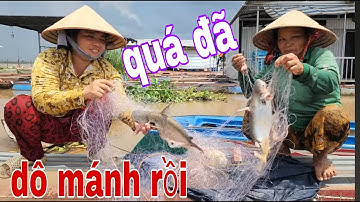 Đúng Như Dự Đoán Thăm Lưới Thế Nào Cũng Dính Cá Vồ Đém Và Mè Vinh Khổng Lồ # SĂN BẮT ĐỒNG THÁP #