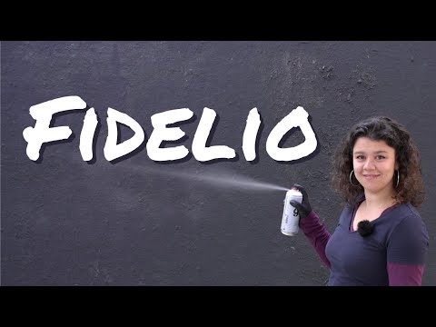 Vidéo: Quand le fidelio a-t-il été écrit ?