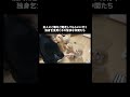 多頭飼いはどこへ行くにも愛犬と一緒【多頭飼い】 ♯shorts