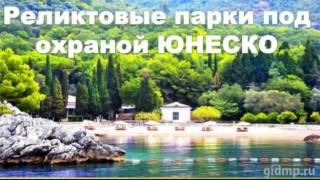 видео Информация для туристов, отдыхающих в Черногории