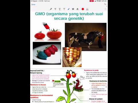 Video: Metilasi DNA Dalam Pembaharuan Dan Multipotensi Sel Stem DNA