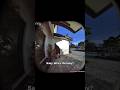 Amazon Showing Love #love #funny #fyp #viral #shorts #trending #foryou #viralvideo #shortvideo #pets