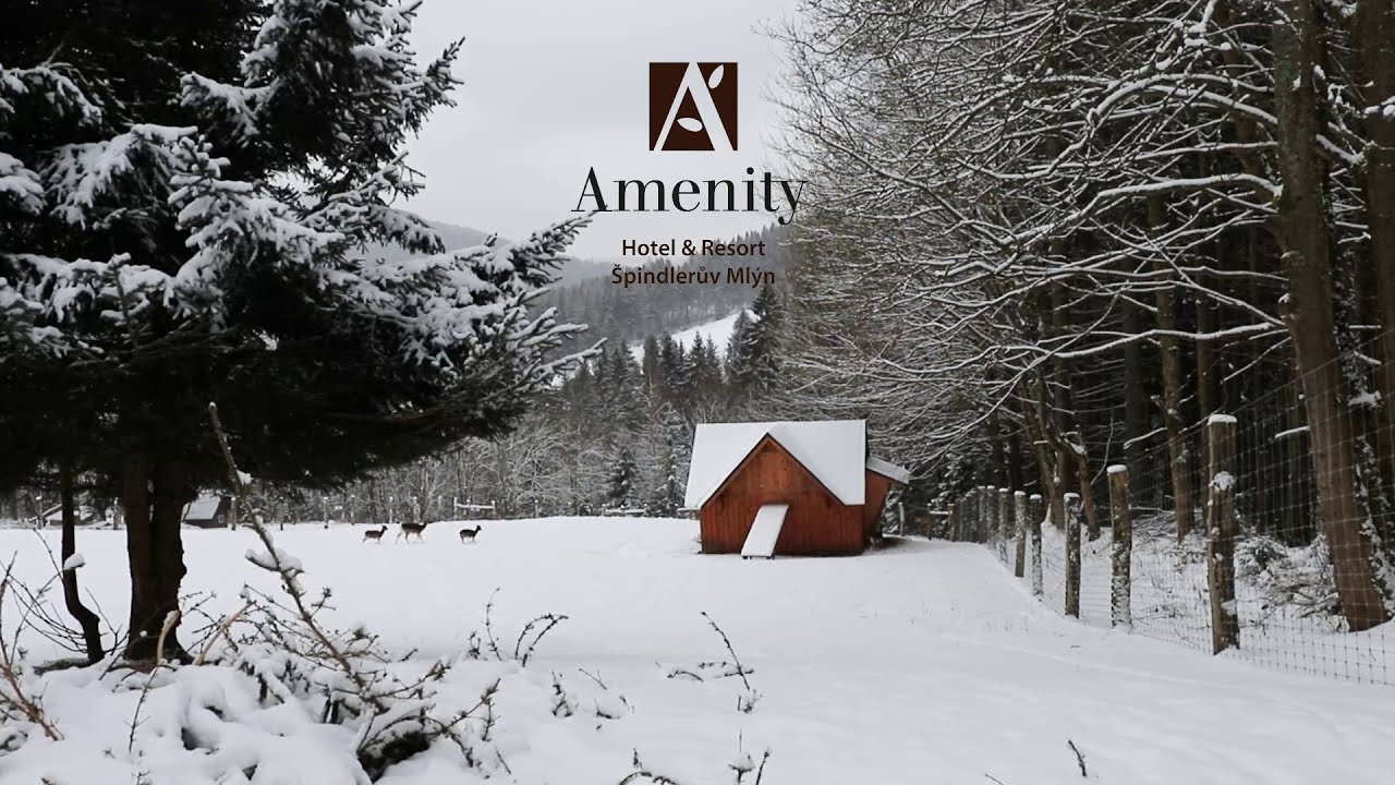 Daňci v Amenity Resortu Špindlerův Mlýn