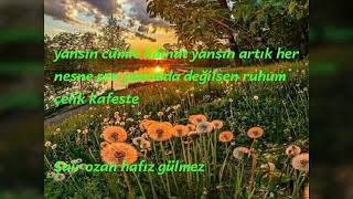 Yarali Birakip Gi̇tme Yar Resimi