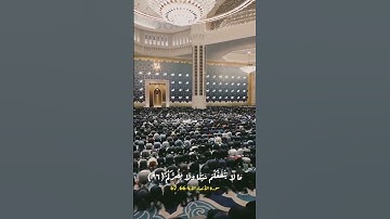 سورة الأنبياء الآية 66 ، 67