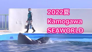 『鴨川シーワールド』2022夏 KamogawaSEAWORLD♪