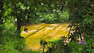 Download Lagu Malabahay part 3 #fyp #nature #simplelife MP3 Download Lagu Malabahay part 3 #fyp #nature #simplelife MP3