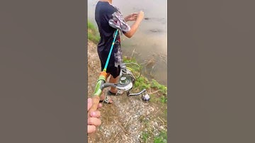 Bọn Này Lại Đi Câu Cá Rồi #shorts #caulongbocondua