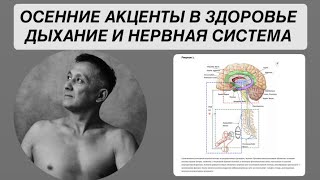 картинка: СЕЗОН ТРАНСФОРМАЦИИ ТКАНЕЙ