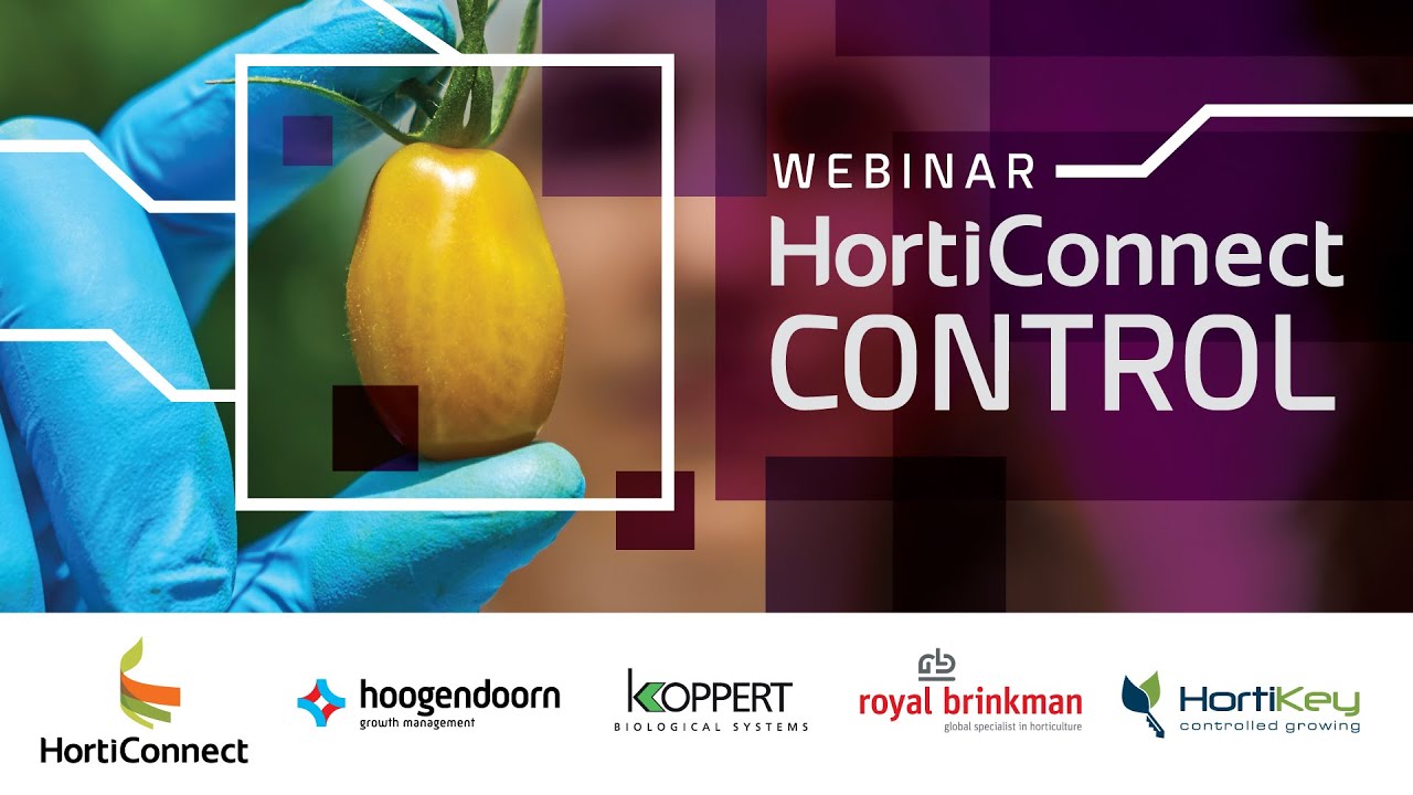 Webinar: Control