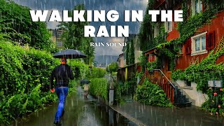 Walking In The Village With Umbrella On A Rainy Summer Morning Raindrop Sound For Relaxing