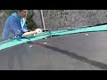 Выгул шиншилят Выгул шиншилят