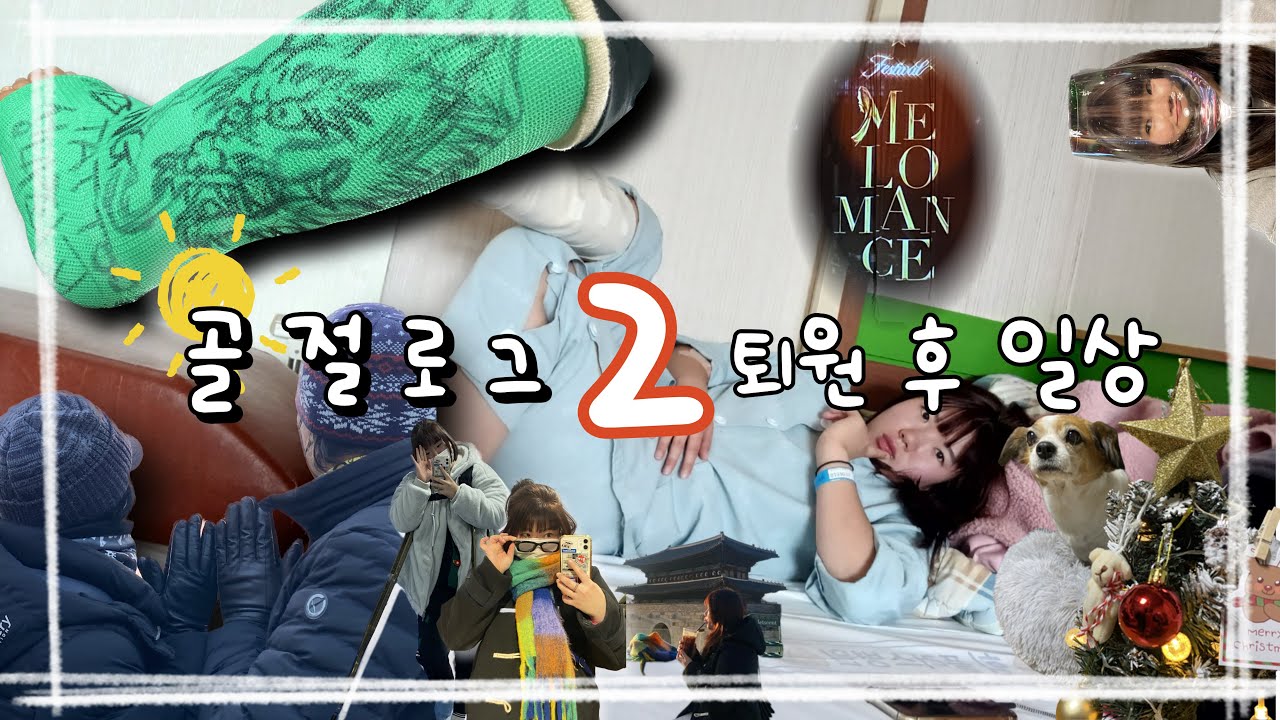 주짓수 하다 골절 2 / 비골골절수술 그 후/ 우리집강아지 덕만이 / 멜로망스콘서트 / 퍼플승급💜