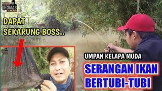 REKOR BARU || PESTA STRIKE MANCING IKAN NILEM PAKE UMPAN KELAPA MUDA