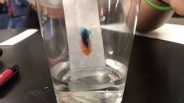 Time Lapse of Forensics Chromatography Lab