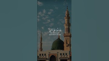 {إِنَّ اللَّهَ وَمَلَائِكَتَهُ يُصَلُّونَ عَلَى النَّبِيِّ} تلاوة رائعة ارح سمعك  #قرآن #خشوع