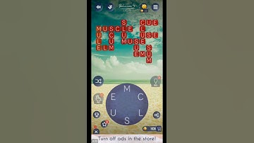 WORD BEACH LEVEL 215 ANSWERS