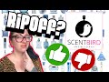 Is Scentbird a Ripoff? Talking About Fragrances Houses Worth it And Ones That Are Not!