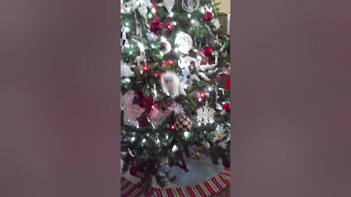 Tour of my 2016 Christmas tree