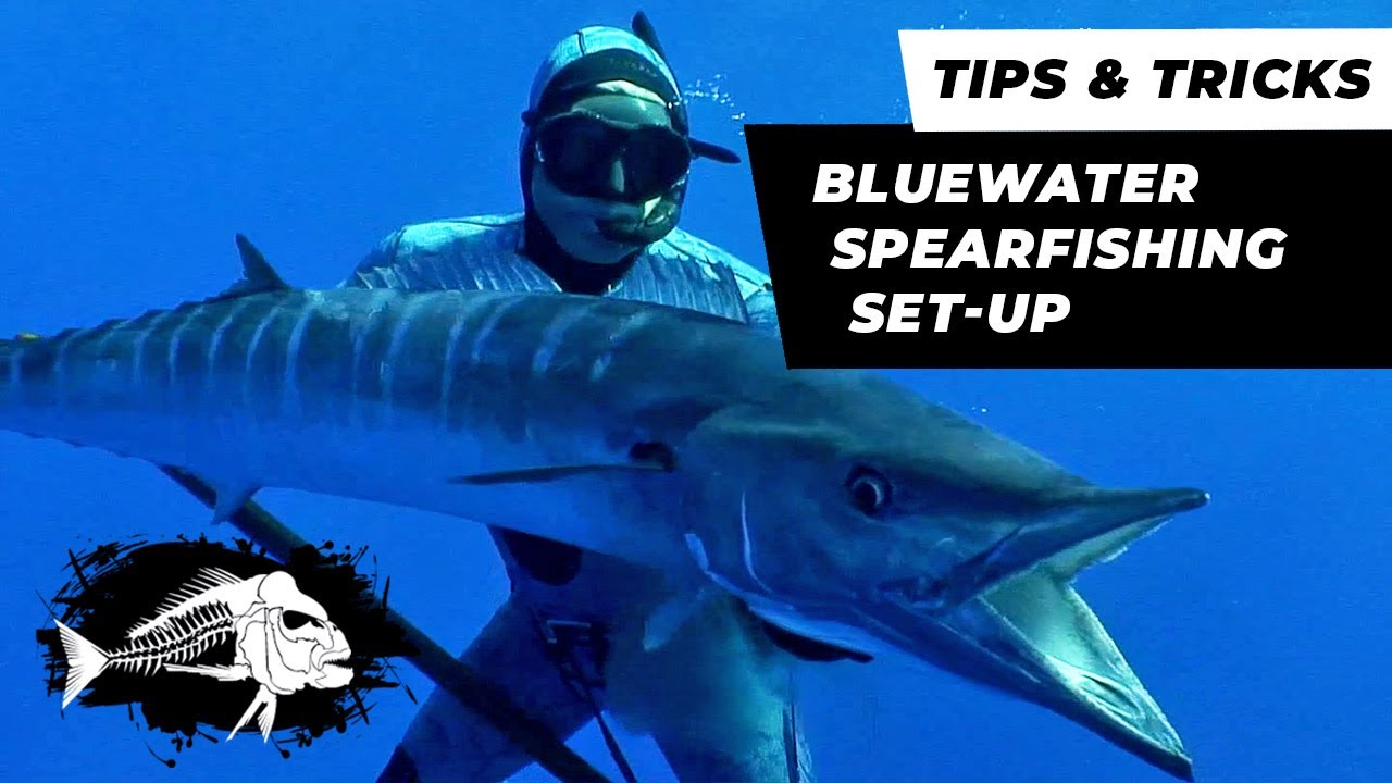How to set up your gear for bluewater spearfishing