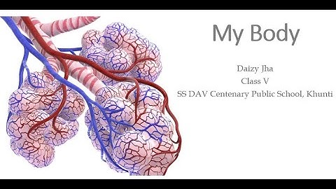 Class 5 Science, Chapter 1, My body by Mrs. Daizy Jha
