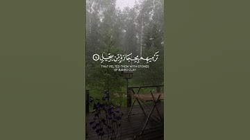 سورة الفيل🤍. #قران_كريم #صلوا_على_النبي #قرآن #راحة_نفسية #لايك