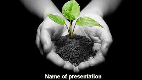 Sprout In Hands PowerPoint Template by PoweredTemplate.com