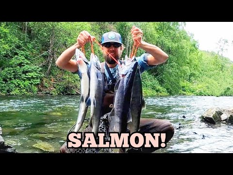 Fly Fishing The Russian River For SOCKEYE SALMON!! (Alaska Kenai